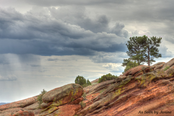 One Tree Hill at Red Rocks As Seen by Janine