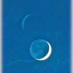Brand New Crescent Moon Brought to Life - No Longer a Throw-Away!