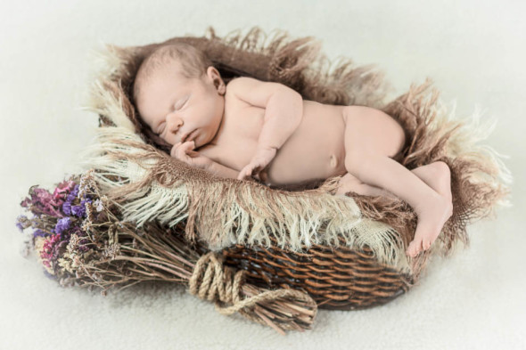 Olive in Brown Basket with Mom's Wedding Bouquet